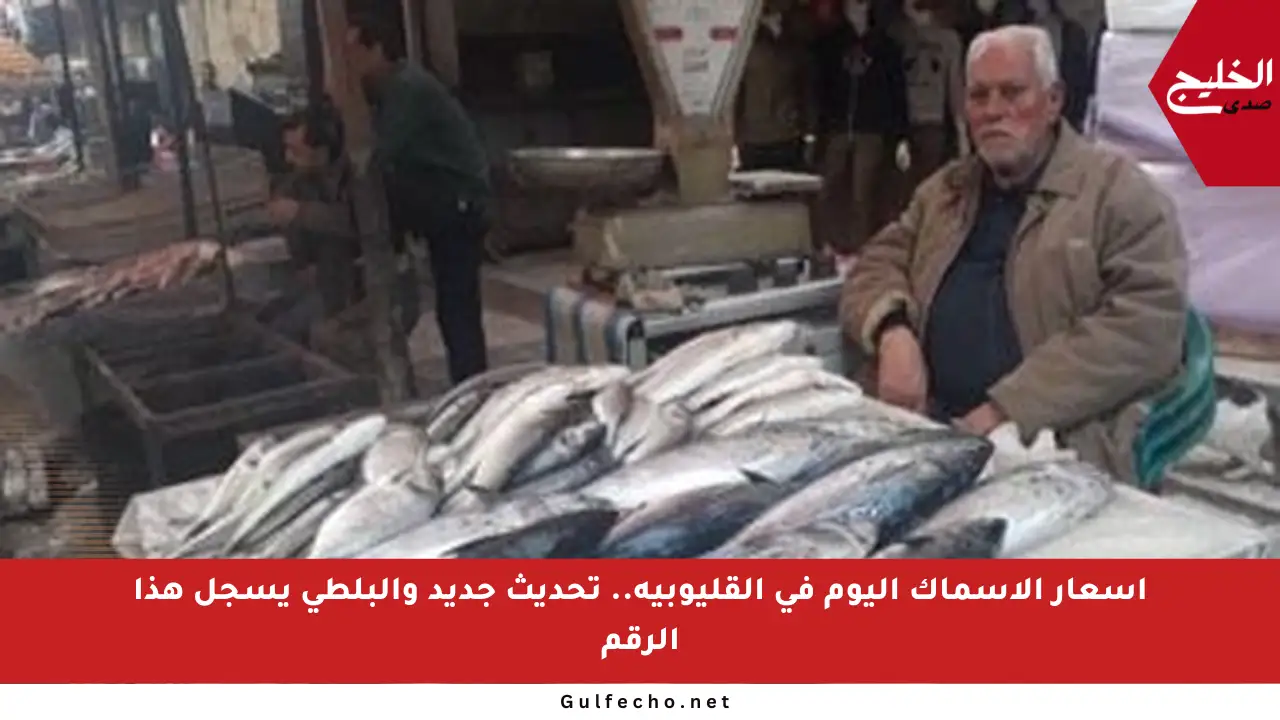 أسعار الأسماك اليوم في القليوبية.. تحديث جديد والبلطي يسجل هذا الرقم